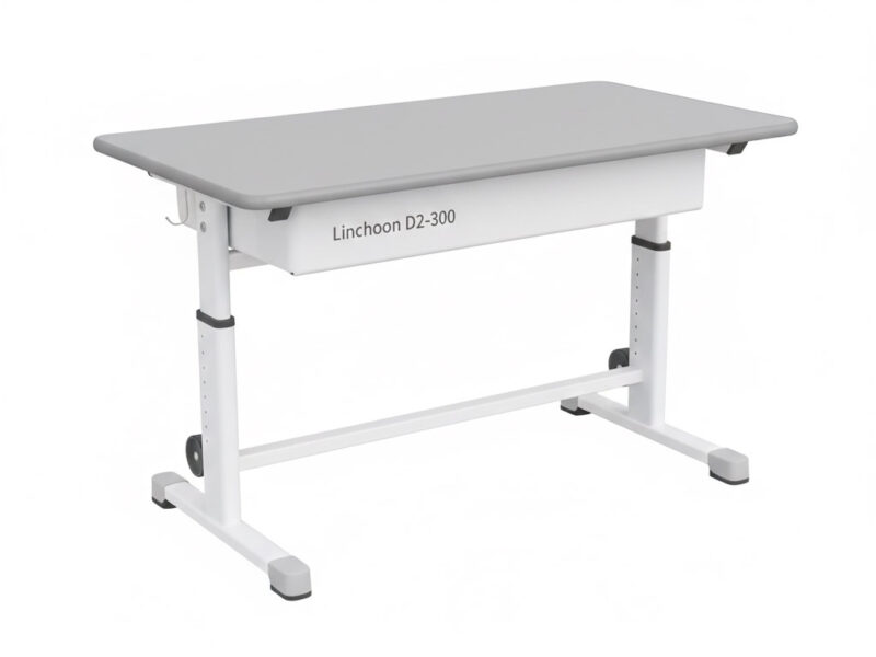 Linchoon Double Student Desk D2-300